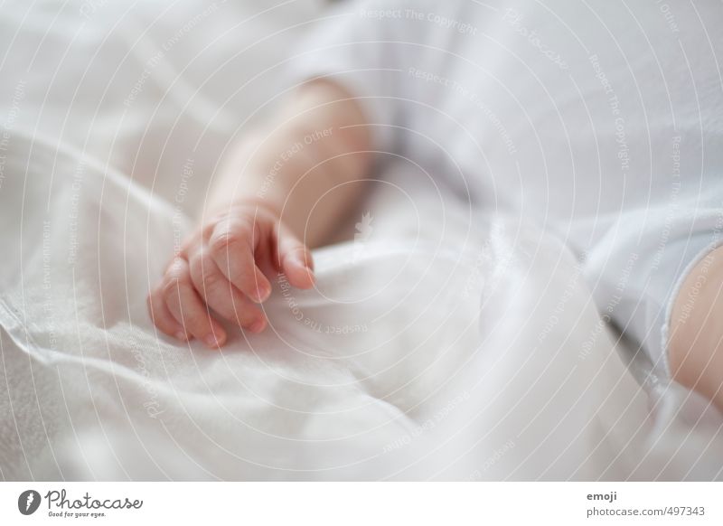 Delicate Human being Baby Toddler Hand 1 0 - 12 months Small Soft White Colour photo Interior shot Close-up Detail Day Shallow depth of field
