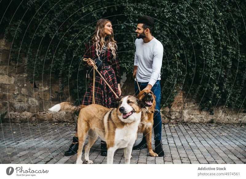 young attractive couple walking their dogs dating street city woman happy park two pet casual together people animal road caucasian autumn lifestyle love
