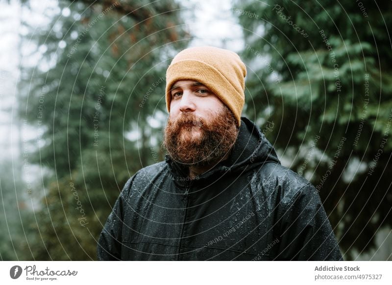 Bearded pensive guy in coat and hat near fir trees man forest rain cold weather water drop rainy bearded thoughtful wood thinking young countryside walking park