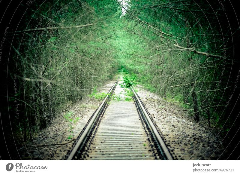 abandoned railroad line through the middle of the forest Railroad tracks Traffic infrastructure lost places Ravages of time Apocalyptic sentiment Decline
