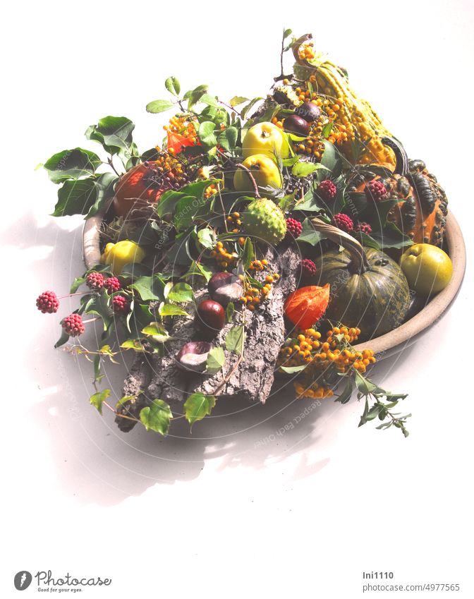 autumn decoration in a round bowl Autumn Table decoration Clay bowl Round ornamental pumpkin ornamental quinces Berries from fire thorn Physalis