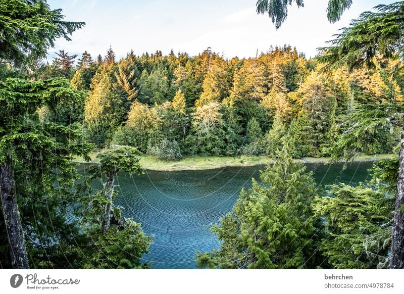 vancouver island Sky especially Nature coast Ocean Landscape British Columbia Water Adventure Canada North America Colour photo Fantastic Vancouver Island