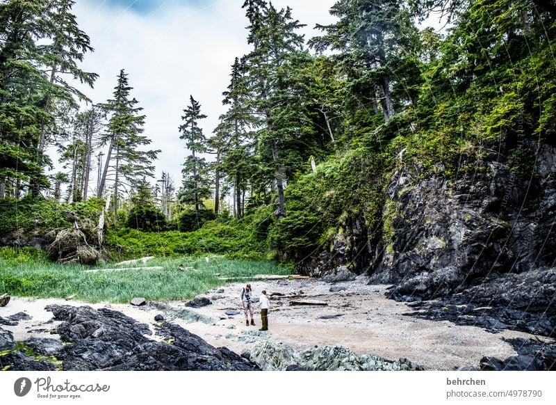 again and again canada trees Rocky Mountains Wanderlust Forest Far-off places Nature Canada Landscape North America wide