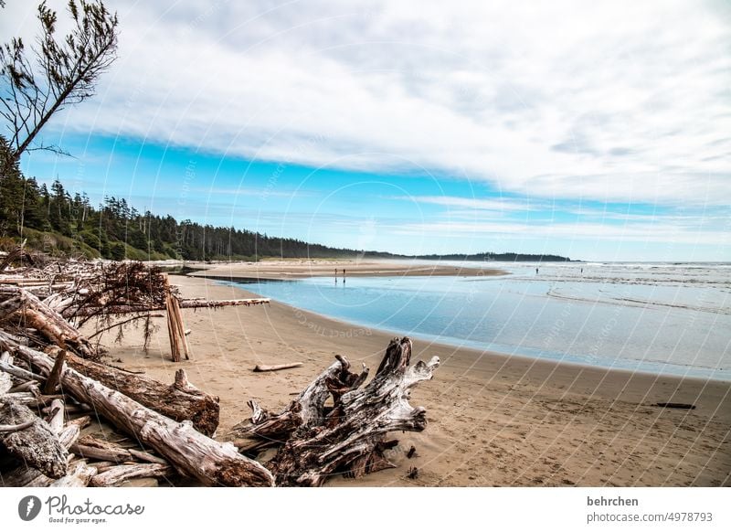 pure nature Beach Clouds Landscape Nature Freedom coast wide Wanderlust Sky Exterior shot Ocean Idyll Longing Vacation & Travel Water Adventure Exceptional