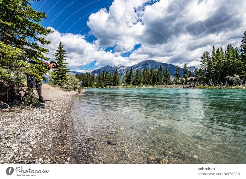 Everything is in flux Water Adventure trees Forest Far-off places River Vacation & Travel Wanderlust Banff National Park Alberta Rocky Mountains North America