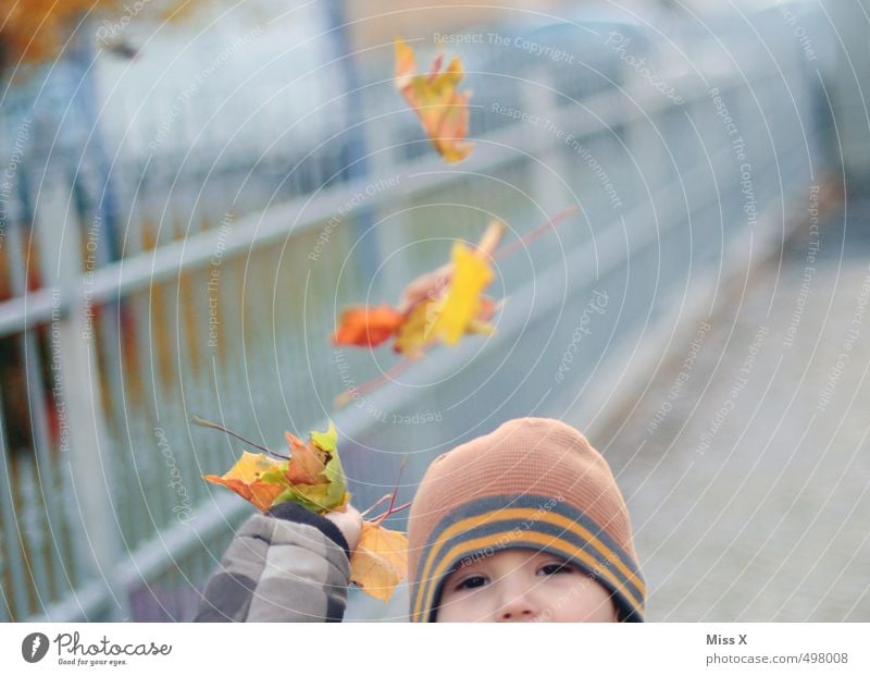 foliage battle Playing Children's game Human being Toddler Infancy 1 1 - 3 years 3 - 8 years Autumn Leaf Cap Throw Emotions Moody Joy Happiness Autumn leaves