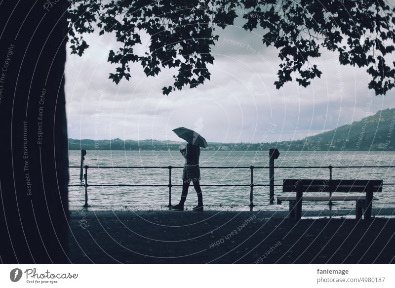 Stroller in the rain strollers Lake Constance Bregenz Town Rainy weather rainy Autumnal Autumnal weather Wet Cold cold and damp Umbrella Tree grey in grey Waves
