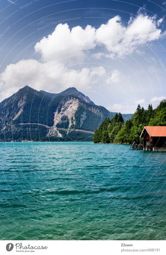 Walchensee Nature Landscape Water Sky Clouds Summer Beautiful weather Tree Alps Mountain Lakeside Esthetic Natural Blue Green Calm Loneliness Relaxation