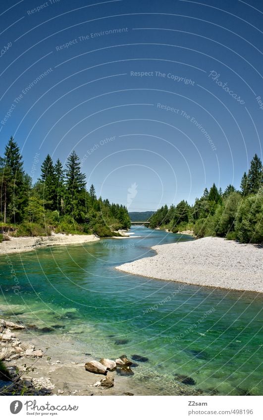 Isar Environment Nature Landscape Water Cloudless sky Summer Beautiful weather Tree Bushes River bank Esthetic Far-off places Infinity Cold Sustainability