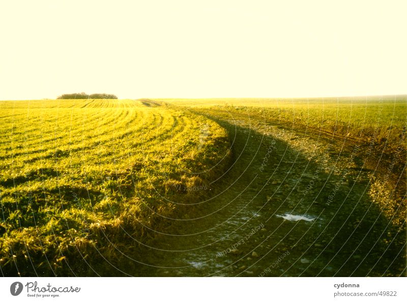 dirt road Field Meadow Moody Light Green Summer Far-off places Lanes & trails Street Sun Landscape