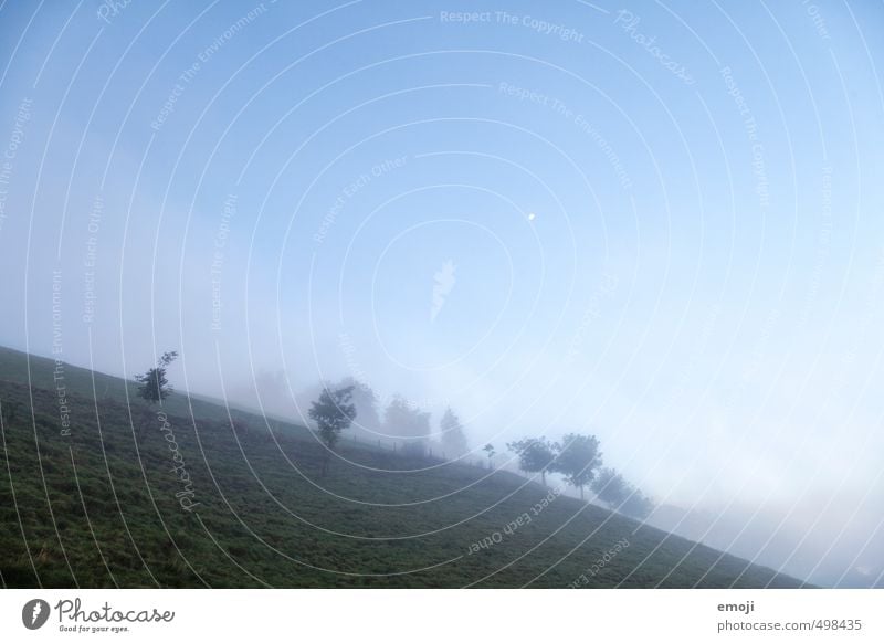 blue & crooked Environment Nature Landscape Sky Cloudless sky Autumn Fog Meadow Cold Natural Blue Colour photo Exterior shot Deserted Copy Space top Evening