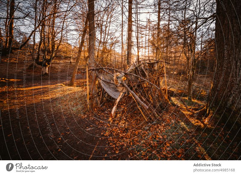 Abandoned cabin in the middle of the forest old nature wooden travel landscape abandoned building autumn cottage green background tree outdoor architecture