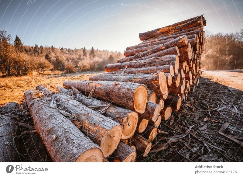 Stacked logs wood timber tree mountains nature forest stack background stacked wooden industry winter natural landscape material cut pine trunk lumber spruce