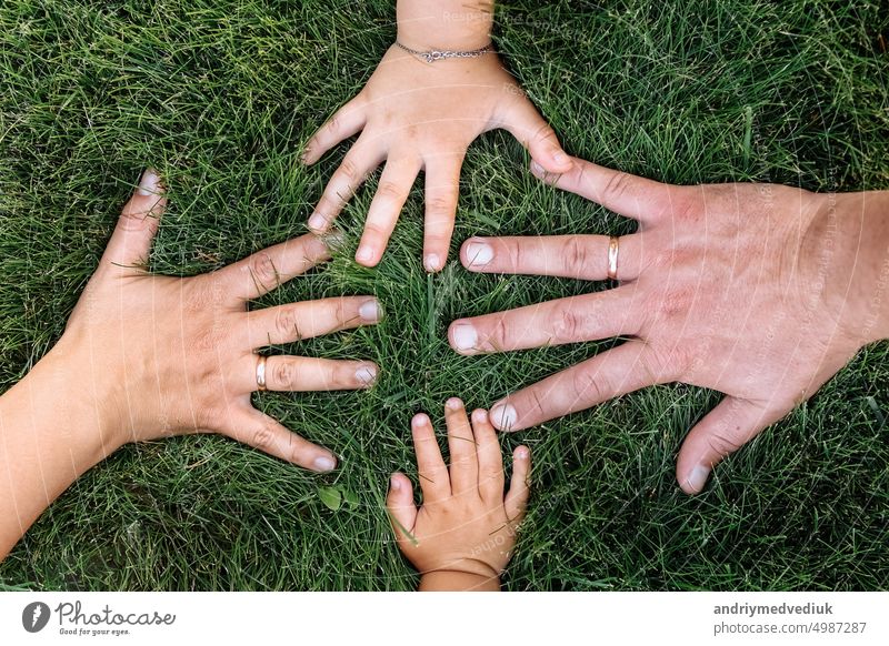 mothers, fathers and childs hands on green grass. happy family, childhood concept. Day of mother, father, child. Family spending time together in nature. Summer vacation concept.
