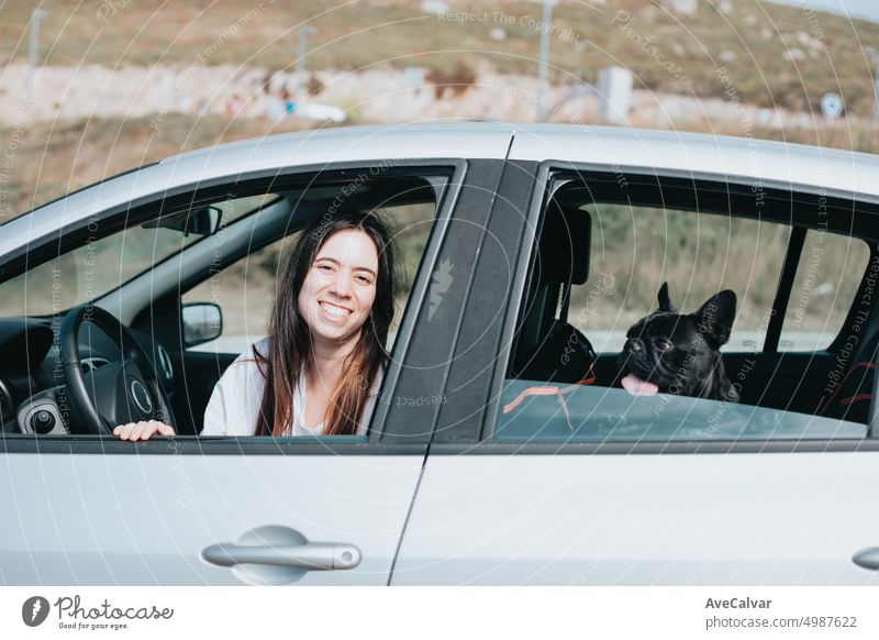 Young woman and dog french bulldog showing from the car windows happily before a walk. Funny image pet portrait auto canine mammal puppy toy transportation