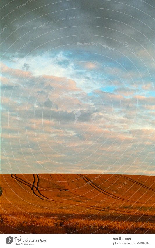 Field strength 1 Clouds Horizon Red Portrait format Far-off places Sky Tracks Orange Blue Grain Harvest Evening Summer