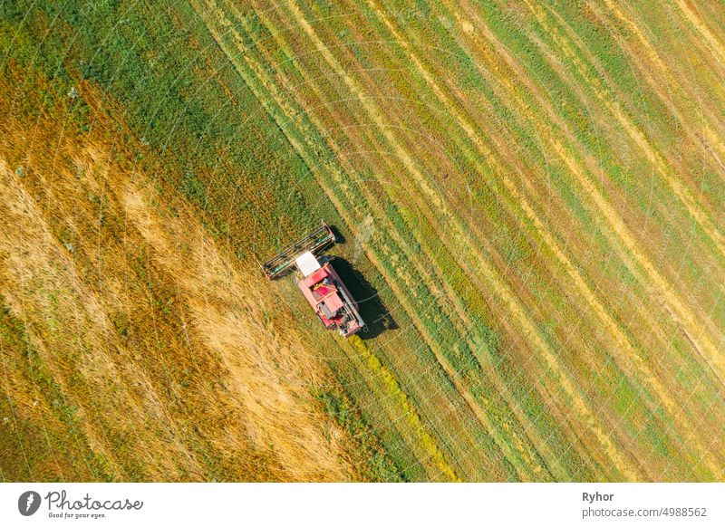 Aerial View Of Rural Landscape. Combine Harvester Working In Field, Collects Seeds. Harvesting Of Wheat In Late Summer. Agricultural Machine Collecting Golden Ripe. Bird's-eye Drone View