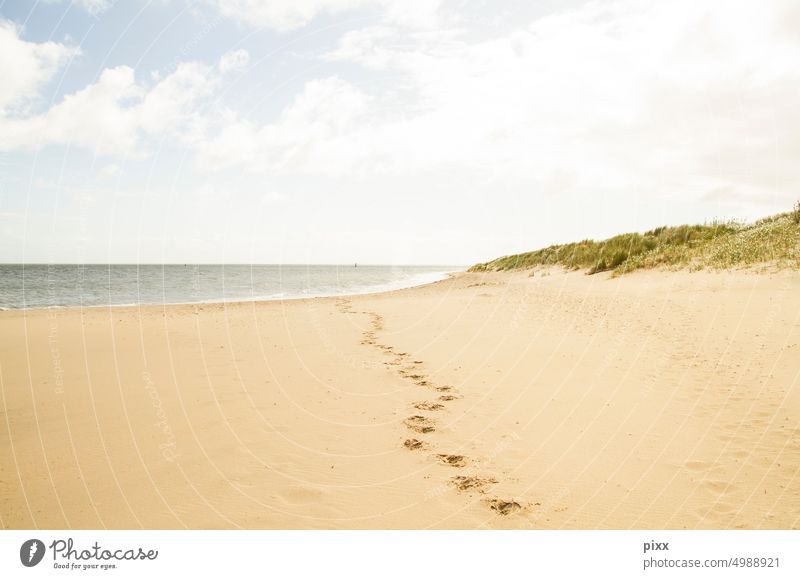 Footprints in the sand on the beach of Texel in the North Sea Beach Ocean Tracks Loneliness Nature vacation Untouched dunes Vacation mood Summer Summer vacation