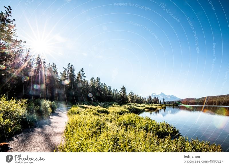 sunshine Jasper national park Lakeside Alberta Water Sky North America Landscape Canada Nature Far-off places Forest Wanderlust Rocky Mountains Lake Maligne