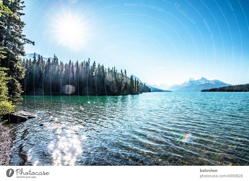 star stories Lakeside Water Jasper national park Alberta Sky North America Landscape Nature especially Fantastic Adventure Canada Far-off places Forest