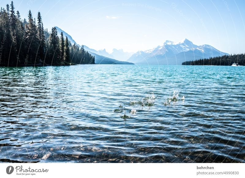 Canada Lake Maligne Rocky Mountains Wanderlust Vacation & Travel Forest Far-off places Adventure Nature Landscape North America Sky Alberta Water Lakeside