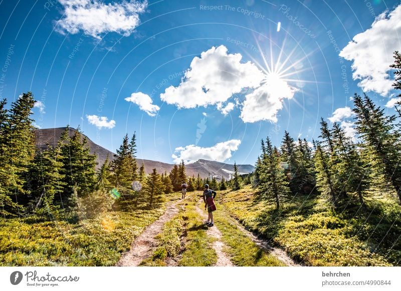 once upon a time in canada Jasper national park Clouds Hiking Canada Adventure Mountain Forest trees Landscape North America Rocky Mountains Wanderlust