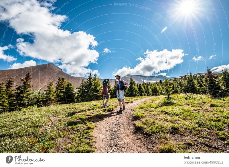 once upon a time in canada Jasper national park Clouds Hiking Canada Adventure Mountain Forest trees Landscape North America Rocky Mountains Wanderlust