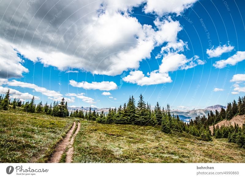 once upon a time in canada Jasper national park Clouds Hiking Canada Adventure Mountain Forest trees Landscape North America Rocky Mountains Wanderlust