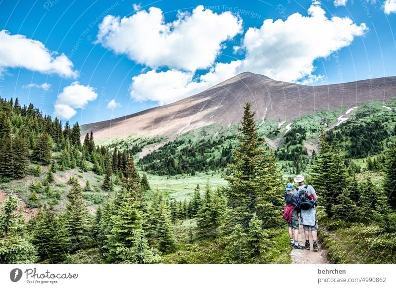 once upon a time in canada Jasper national park Clouds Hiking Canada Adventure Mountain Forest trees Landscape North America Rocky Mountains Wanderlust