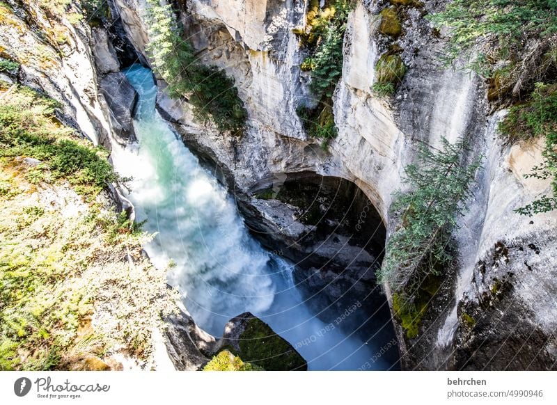 Everything is in flux height Tall Unafraid of heights Giddy maligne canyon abyss Steep depth Deep Riverbed Canyon Alberta Jasper national park Adventure Canada