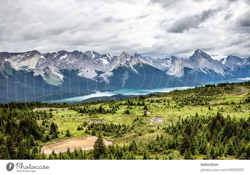 once upon a time in canada Jasper national park Clouds Hiking Canada Adventure Mountain Forest trees Landscape North America Rocky Mountains Wanderlust