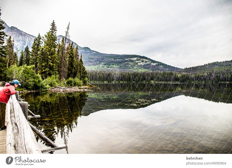 From searching and finding especially Wanderlust wide Far-off places Tourism Vacation & Travel Nature Exterior shot Canada Mountain Forest Landscape