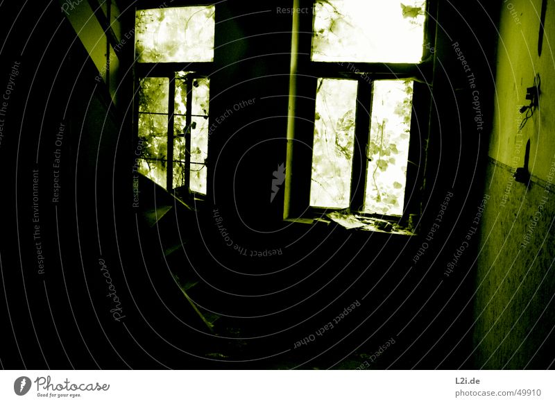 Green Room III Black White Light Window Dark Creepy Wall (building) House (Residential Structure) Leaf Tin Newspaper Destruction Old Contrast Loneliness Stairs