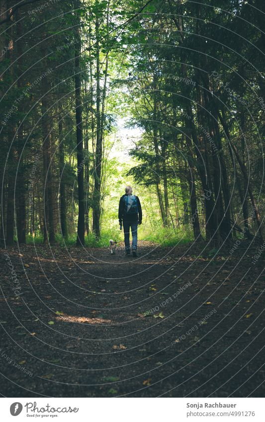 A man walks with a small dog on a forest path. Rear view Man Hiking Dog Small Forest Adventure Lifestyle trekking Trip Nature voyager hikers Tourist