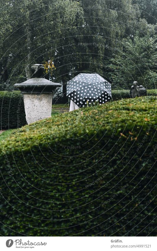 [HH Unnamed Road] Rain dots in continuous rain - person with dotted umbrella stands behind a hedge Autumn Dreary Gloomy tribulation Cemetery Hedge Nature Green