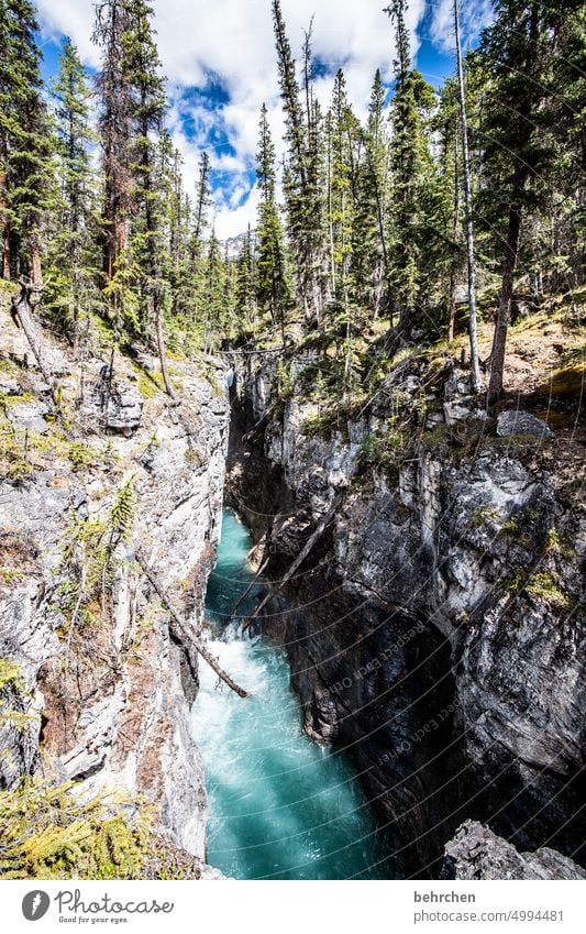 Everything is in flux height Tall Unafraid of heights Giddy maligne canyon abyss Steep depth Deep Riverbed Canyon Alberta Jasper national park Adventure Canada