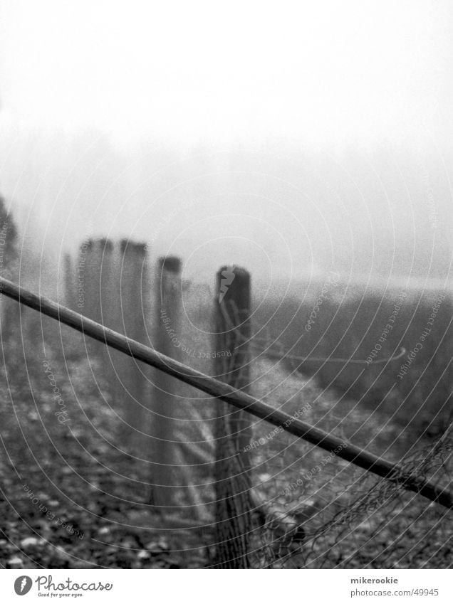 Fence in the fog Black & white photo Exterior shot Copy Space top Deep depth of field Nature Fog Control barrier Old Creepy Cold White Loneliness