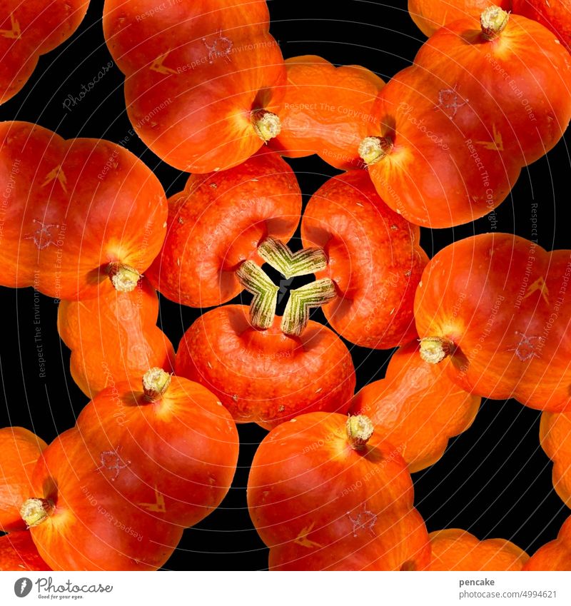 kürbis mandala Herbst Ernte Kürbis orange Mandala Muster Ornament Design Frucht reif Gemüse Ernährung vegan gesund