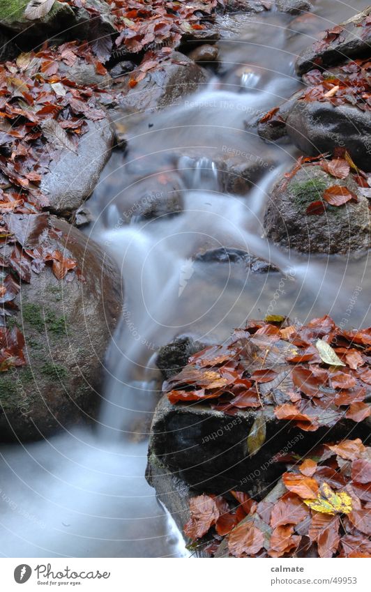 - autumnal water drifting - Leaf Autumn Brook Long exposure Water River Rock Stone Waterfall watery