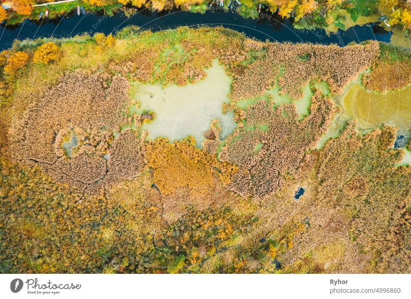 Aerial View Of Green Grass Landscape. Top View From High Attitude In Summer Evening. Marsh Bog. Drone View. Bird's Eye View abstract aerial aerial view attitude