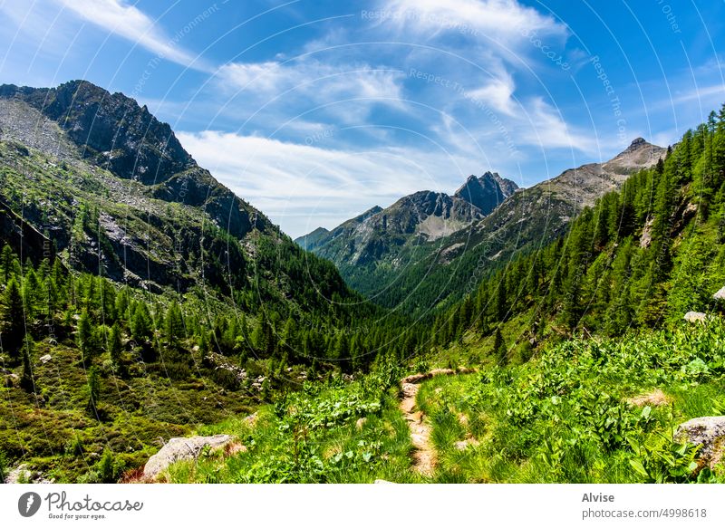 2022 06 04 CimaDasta valley 4 italy mountain alps landscape nature travel path hiking scenery panorama peak alpine summer europe trekking scenic rock outdoor