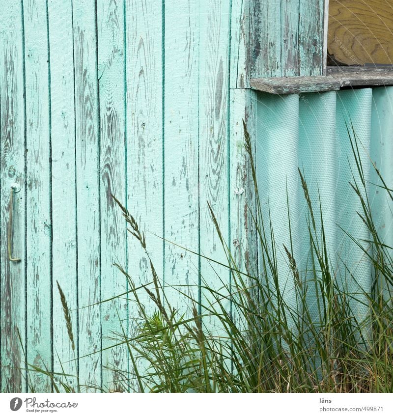 fisherman's hut Grass Bansin Fishing village Hut Wood Old Authentic Positive Colour Wall (building) Dye Paintwork Colour photo Exterior shot