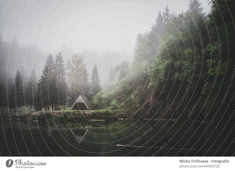 Wafts of mist over the mountain lake Mountain lake at the Ebertswiese Thuringia Thueringer Wald Lake Water Forest Hut Fog wafts of mist trees Rock Wall of rock