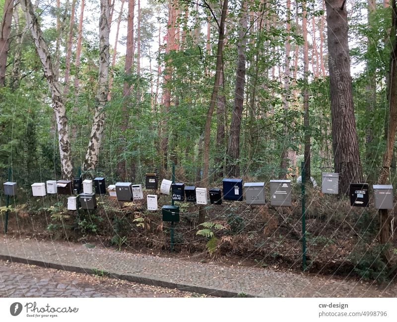 Letter-box company Mailbox Nature Fence onlooker