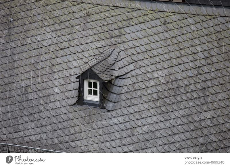 Windows in the roof Skylight Roof House (Residential Structure) Building Architecture