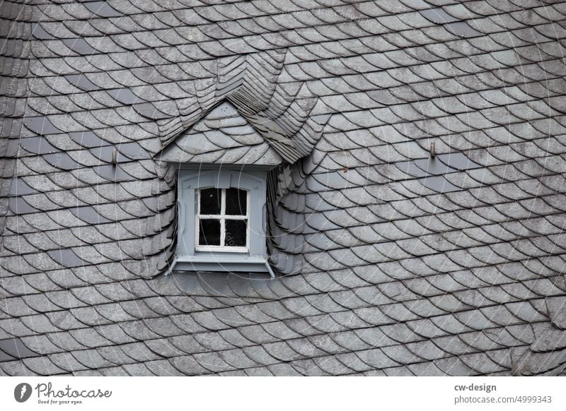 Roof with window Skylight Window House (Residential Structure) Building Architecture