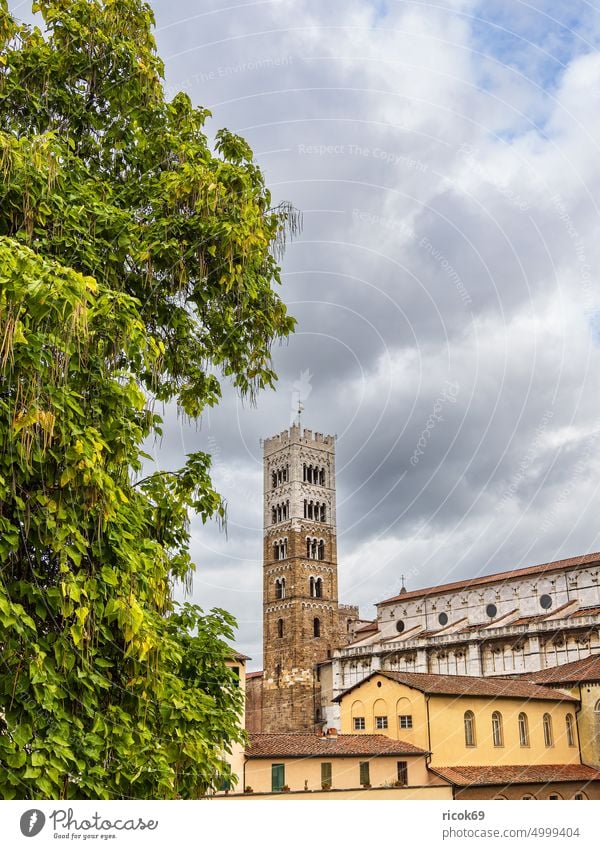 View over the old town of Lucca in Italy Tuscany Church Cathedral of San Martino Town Tower Bell tower Architecture House (Residential Structure) Building
