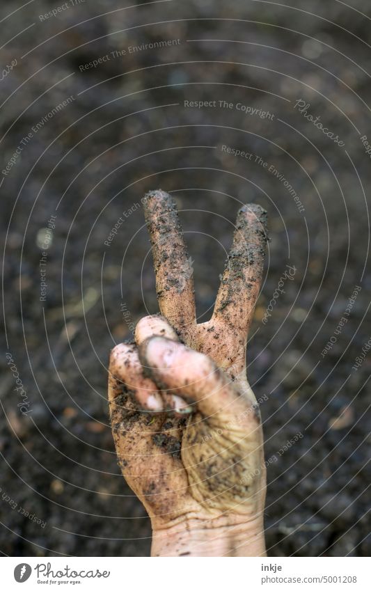 Gardening rocks Colour photo Close-up Hand Earth.Dirty victory peace sign Show of hands Cool Brown Free space Fingers Exterior shot Gesture Sign Day