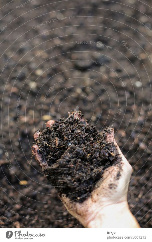 topsoil Earth Gardening humus naturally fertilizer Hand Authentic handful Nature Growth Organic farming Agriculture Close-up Gardener Fresh Brown frowzy
