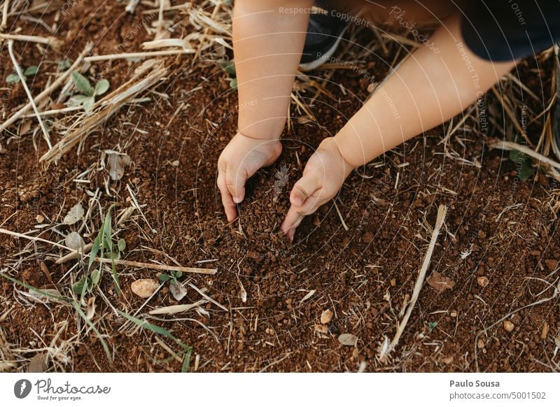 Close up child picking soil Close-up Hand Child childhood Authentic Exterior shot Infancy Nature Human being Colour photo Lifestyle Day Joy Caucasian